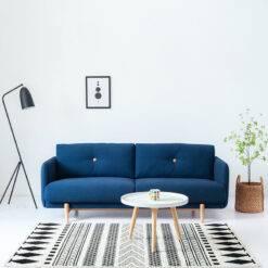 Sofa văng cổ điển giá rẻ N05 – Lựa chọn hoàn hảo cho phòng khách