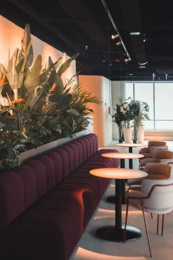 Ghế Sofa Coffee HHV 263 – Thiết kế tinh tế, sang trọng